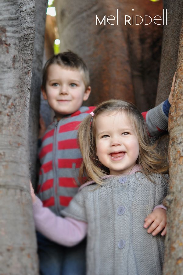 Cooper & Gemma tree