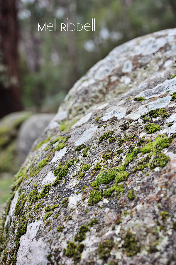 Three mossy rocks