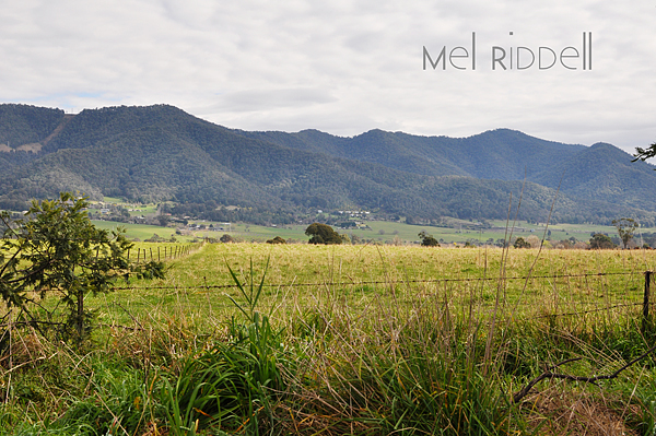 Paddocks & mountains