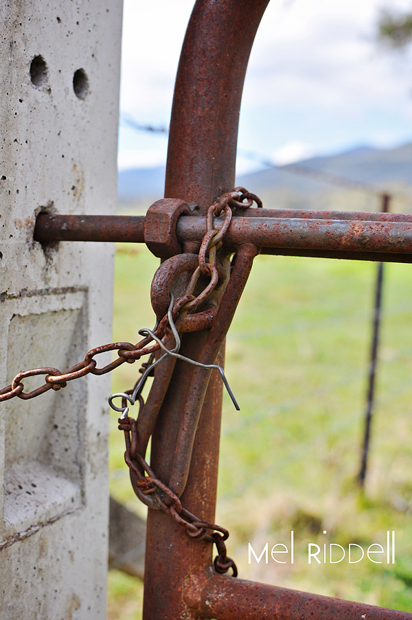 Gate lock