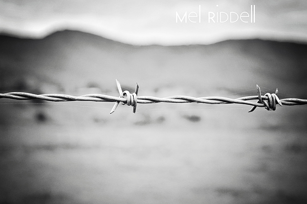 Barbed wire