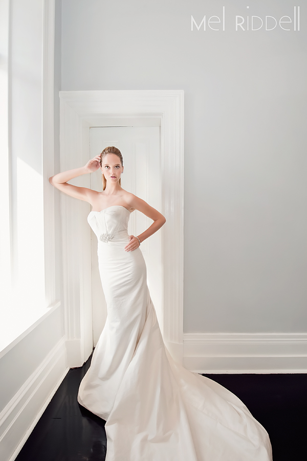 Amaline Vitale 4